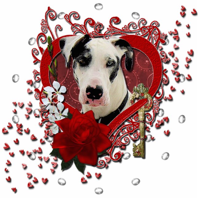Valentines - Key to My Heart -Great Dane Harlequin Standing Photo Sculpture (Front)