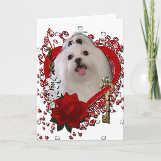 Valentines - Key to My Heart - Maltese Holiday Card (Front)