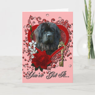 Valentines - Key to My Heart - Newfoundland Holiday Card
