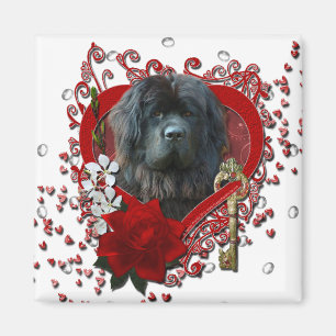 Valentines - Key to My Heart - Newfoundland Magnet
