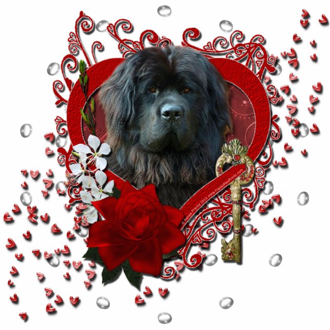 Valentines - Key to My Heart - Newfoundland Standing Photo Sculpture (Front)