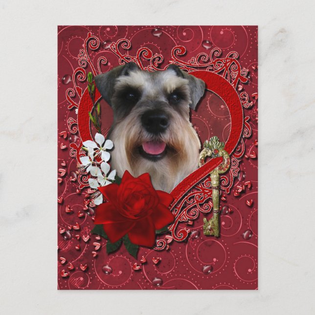 Valentines - Key to My Heart - Schnauzer Holiday Postcard (Front)