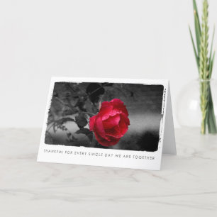 valentines rose photography holiday card
