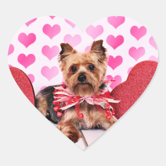 Valentines - Yorkie - Pixie Heart Sticker (Front)