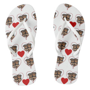 Valentines yorkie puppies flip flops
