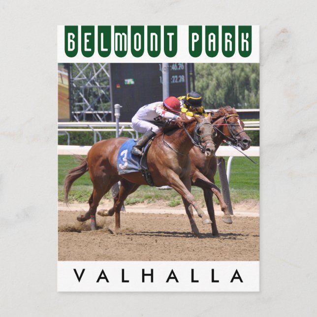 Valhalla Postcard (Front)