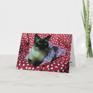 valintine1 holiday card