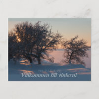 Välkommen till vintern! Vasa Vaasa Finland CC0828
