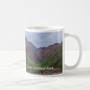 Valley At Denali's Toklat River Coffee Mug