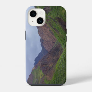 Valley At Denali's Toklat River iPhone 14 Case