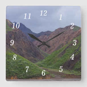 Valley At Denali's Toklat River Wall Clock