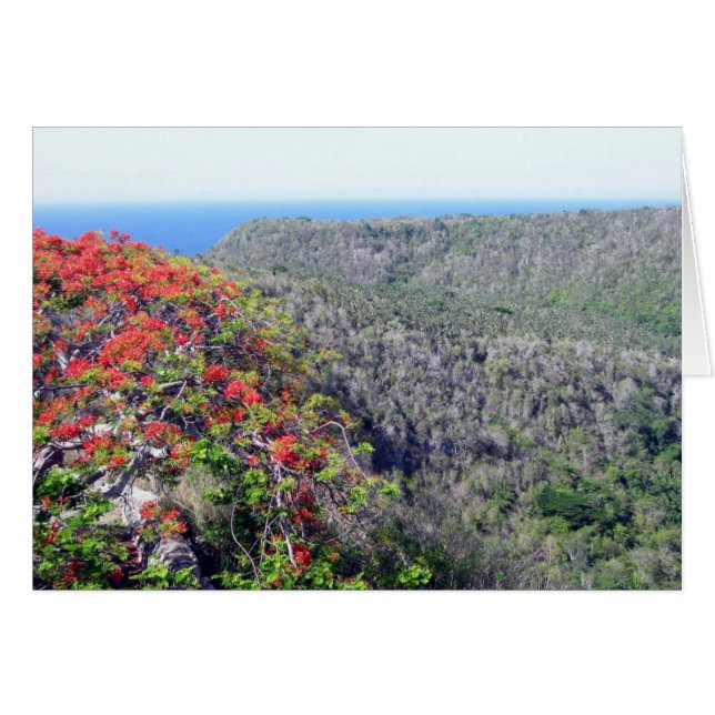 valley bacunayagua (Front Horizontal)