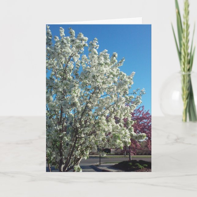 “Valley Blossoms” Get Well Card (Front)