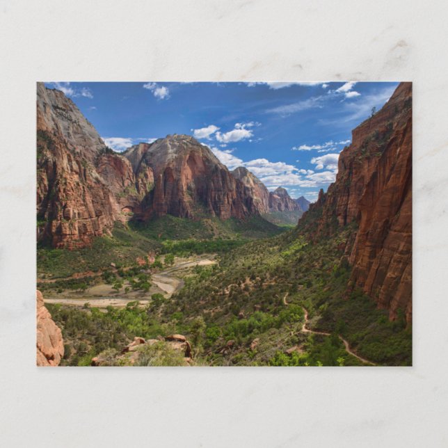 Valley in Zion National Park Postcard (Front)