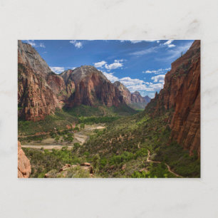 Valley in Zion National Park Postcard