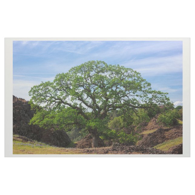 Valley Oak Tree Fabric (Yard)