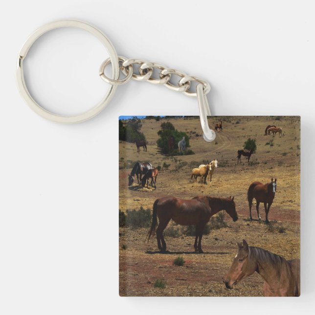 Valley Of The Horses, Key Ring (Front)