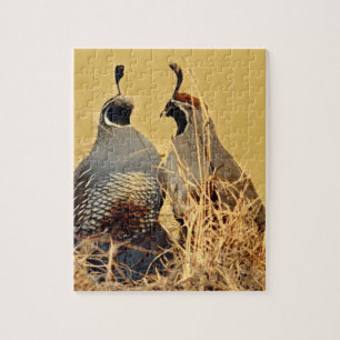Valley Quail (California) Jigsaw Puzzle