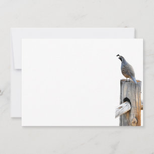 Valley Quail Photo Stationery Flat Note Card