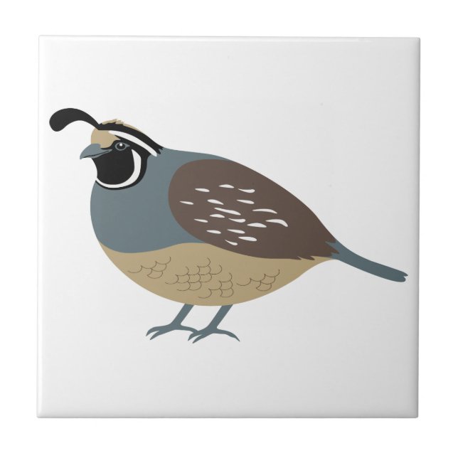 Valley Quail Tile (Front)