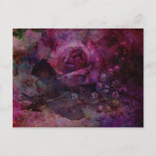 Valley Rose Postcard