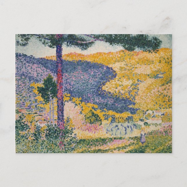 Valley with Fir Shade on the Mountain Postcard (Front)