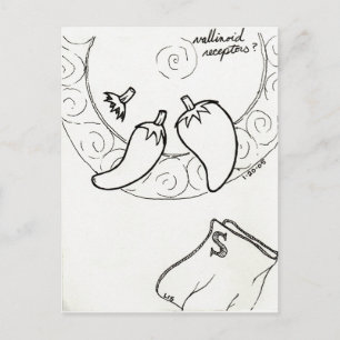 Vallinoid Receptors postcard