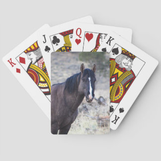 Valour Playing Cards