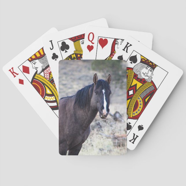 Valour Playing Cards (Back)