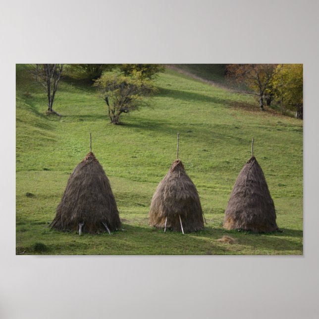 Value Poster Paper Straw Bales (Front)