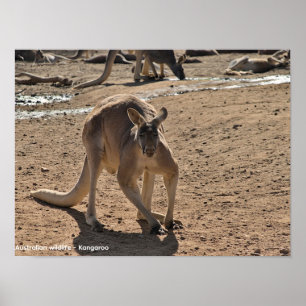 Value poster poster(semi gloss)