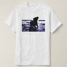 Value t-shirt black lab playing in water