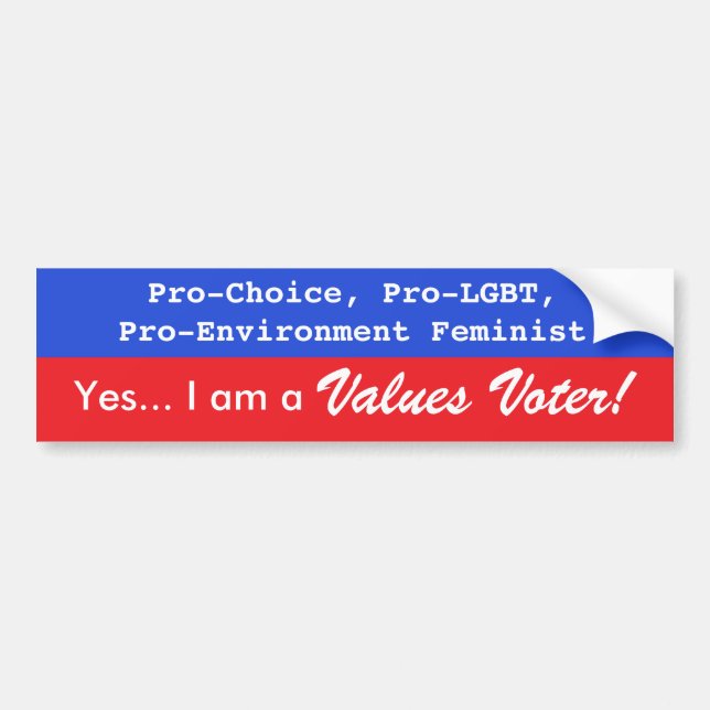 Values Voter Bumper Sticker (Front)