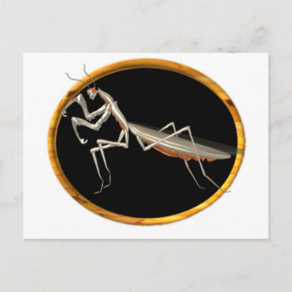 Valxart preying mantis  nature icon postcard
