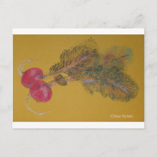 Valya's Radishes Postcard