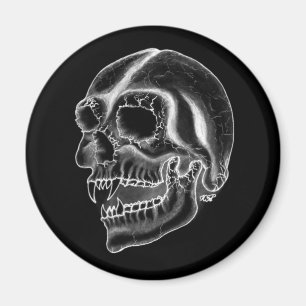 Vampir skull black and white design magnet