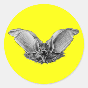 Vampire ? Bat ? Classic Round Sticker