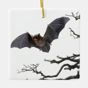 Vampire Bat, Gothic, Dracula, Bat, Ceramic Ornament