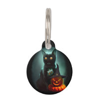 Vampire Cat and Wizard Pumpkin Halloween Surreal 
