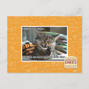 vampire cat smiles postcard