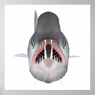 Vampire Fish - Fish Head Poster