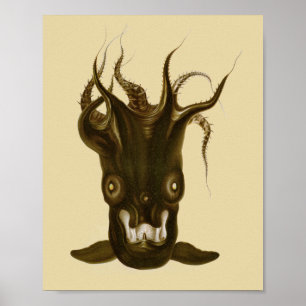 Vampire Squid Black Sea Creature Art Print