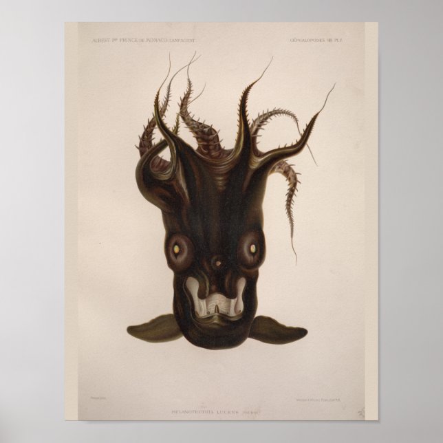 Vampire Squid Black Sea Creature Art Print (Front)