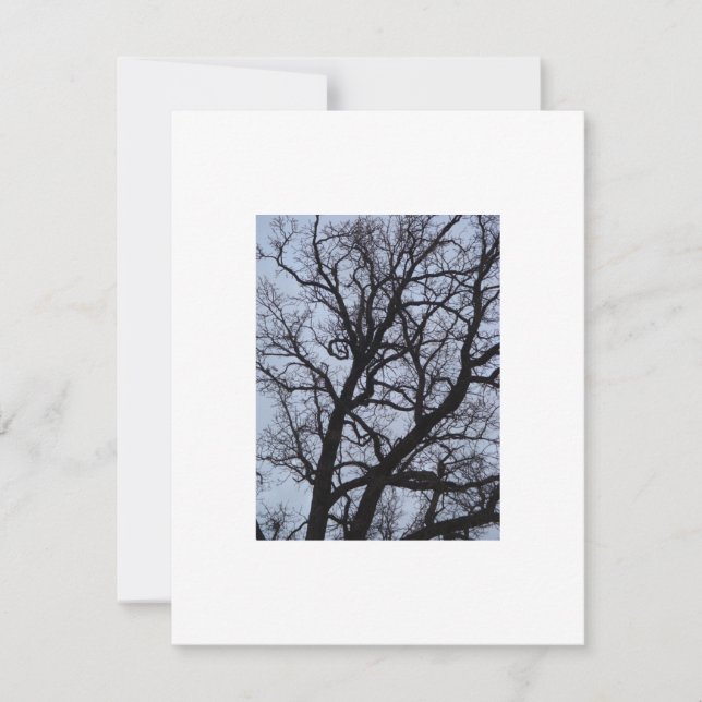 Vampire Tree (Front)