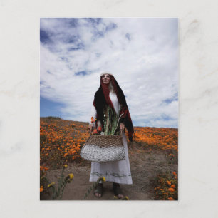 Vamplified Gypsy Trail Postcard