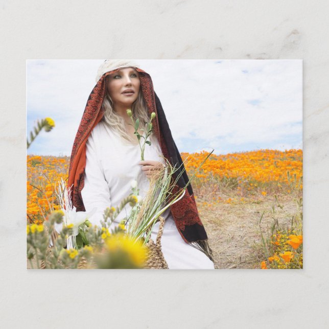Vamplified Poppy Gardens Postcard (Front)