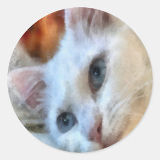 Van Cat With Blue Eyes Pet Portrait Classic Round Sticker