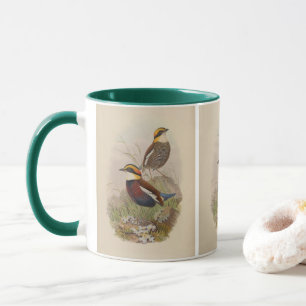 Van der Bosch's Pitta by John Gould Mug