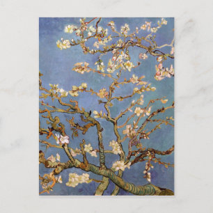 Van Gogh Almond Blossom Postcard