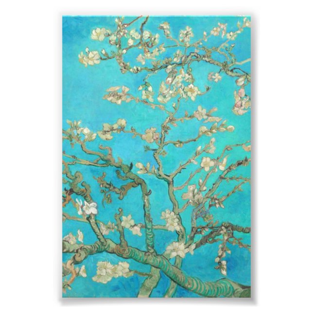 Van Gogh Almond Blossoms Photo Print (Front)